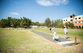 Land & Building